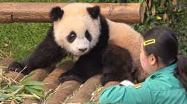 더쿠 - 어제 루이