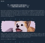 더쿠 - 마이 리틀 퍼피 해본 사람 있어? 잼씀? 많이 슬픔?ㅠㅠ