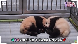 더쿠 - 다음주 월요일 아루후 전할시!!!