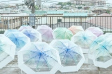 더쿠 - 나 최근에 체감예보랑 나라코이 관련해서 본 트윗중에 젤 웃겼던거