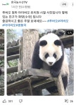 더쿠 - 한국농수산TV 유튜브에 화니 시절 아이바오와 화양 사진 올려줬네