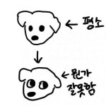더쿠 - 연하미 미쳤다 눈치볼때마다 먼가 잘못한 강아지짤표정되는거 너무귀여워