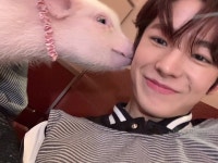 더쿠 - 리쿠랑 유우시 돼지랑 셀카찍은 거 보는데