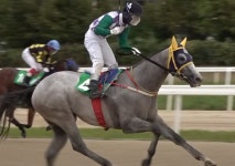 더쿠 - 내 이름은 라라케이(경주마)