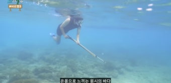 더쿠 - [태계일주] 마다가스카르 친구들에게 초장 전파하는 기안84