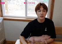 더쿠 - 아 서치하다가 주학년 돼지