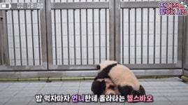 더쿠 - 후이는 밥 먹고 기분 좋아
