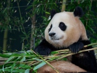 더쿠 - 눈 밑에 밥풀 묻은 거 봐