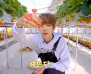더쿠 - 야 덬들아 나 이제 성찬타로 무해 그거 깠는데 딸기농장푠은 꼭 봐라 (요약