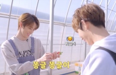 더쿠 - 야 덬들아 나 이제 성찬타로 무해 그거 깠는데 딸기농장푠은 꼭 봐라 (요약