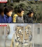 더쿠 - 해태선수들은 기 안쌘게 이상함