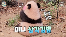 더쿠 - 루이 귀 진짜 ⧁ 이렇게 생겼네ㅋㅋㅋㅋㅋㅋ
