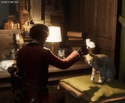 더쿠 - 와 호텔냥이 이제 하악질안한다