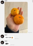 더쿠 - mbti에서 F 96퍼나온 파워 F 아이돌.jpg