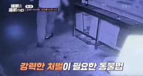 더쿠 - [분노주의] 이번 주 동물은 훌륭하다에서 다룬 고양이 학대범
