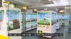 더쿠 - 한 판만 더 인형 뽑기에 빠진 아이들…도박 중독의 시초 위험