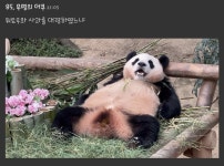 더쿠 - 핫게 복보 포스터 댓 웃기네 ㅋㅋㅋ ( 파묘 스포일지도)