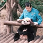 더쿠 - 자꾸만 놀리고 싶은 판다 후이바오🐼🩷