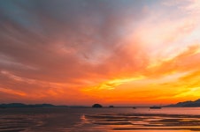 더쿠 - 디지털 사진갤에 올라온 노을 사진