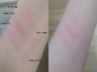 더쿠 - 네이밍 원정요 블러셔 비교발색 들고왓어