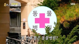 더쿠 - [틈만나면] 오래 봐온 아이들을 하늘로 보내야 했던 동물병원 원장님ㅠㅠ