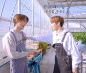 더쿠 - 야 덬들아 나 이제 성찬타로 무해 그거 깠는데 딸기농장푠은 꼭 봐라 (요약