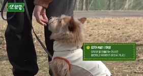 더쿠 - 🐶(모르는)개 산책 모임 - EP1 (강아지 산책모임에 처음 만난 강아지와 함께 가보기.. 견망진창🐕)