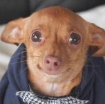 더쿠 - 스토브리그 이제야 보는데 백승수 백영수 형제 서사에 눈물 흘리는중