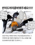 더쿠 - 빈이도머리좀바꿔주세요!!!!! 주문하신 헤어스타일 후보 나왔습니다 (아바타스타슈 빈이 맞음)