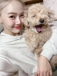 더쿠 - 내돌 강아지 키우는 멤버들 너무 귀여워 진쨔