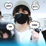 더쿠 - 울 강아띠 목소리 곧 듣는다 ㄷㄱㄷㄱㄷㄱ