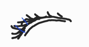 더쿠 - 속눈썹 붙이는 법...ㅠㅠ 초보한테 알려주라 ㅠ