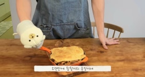 더쿠 - 왈왈이 다들 잘 데리고있어?