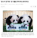 더쿠 - 🐼쌍둥바오 루이후이 언론사 사진.zip