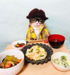 더쿠 - 🐱어서오세요 오전에도 운영하는 고등어 식당 입니다~