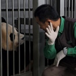 더쿠 - 뿌빠tv 커뮤니티 업뎃 :: 이번주 전할시 프리뷰