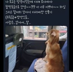 더쿠 - 펫택시 탔는데 차별 당함