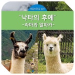 더쿠 - 발생지가 정말 의외인 동물.jpg