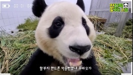 더쿠 - 코봉이 푸린이