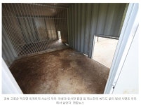 더쿠 - 사살된 암사자 사순이...20분간 가만히 앉아있는데 발포해야 했을까