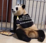 더쿠 - 누가 사과를 그냥 먹나요?