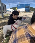 더쿠 - 삼식이 강아지 뚱이 근황