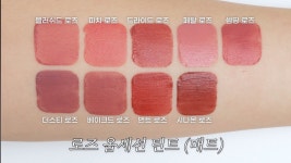 더쿠 - 퓌 로즈옵세션 다들 무슨 컬러 사?