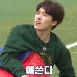 더쿠 - 세븐틴 정한 원우 유닛 리더 피셜남