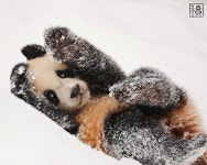 더쿠 - 루이 진짜 무슨 캐릭터 같앜ㅋㅋㅋ