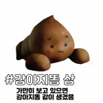 더쿠 - 김우민선수 🏊♂️ 를 시작으로, 강아지똥상들 모아봤ㅋㅋ