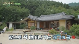 더쿠 - [삼시세끼] 예능이 낯선 엄태구 엄청 잘 챙겨주는 차승원