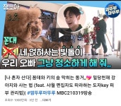 더쿠 - 1000만회 달성했다는 샤이니 키 나혼산 첫 출연 영상