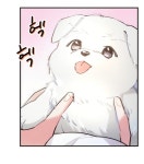 더쿠 - 천구비 너네한테 일조 양보할게