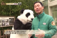 더쿠 - ㅂㅂㅇ? 동농 인형탈 개웃기네ㅋㅋㅋㅋㅋㅋㅋ